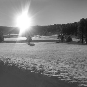 Meet your Posher, Charlotte